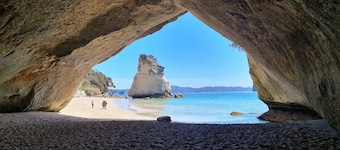 Adventurers Chest - Pohutukawa
Equipment Included