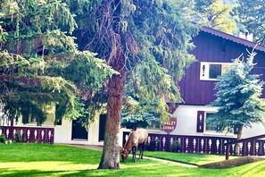 Property grounds - River Front Cozy Condo near RMNP (Estes Park)