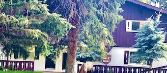 River Front Cozy Condo near RMNP