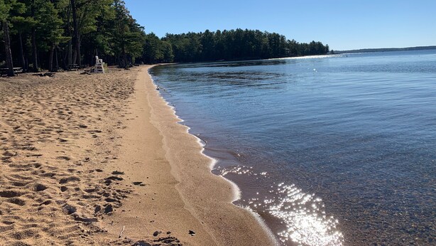 En strand med klart vand, sandet bredde og et skovområde i baggrunden.