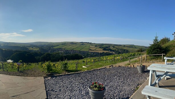 A vineyard with stone pathways and picnic tables, offering scenic views of rolling hills and vineyards. - Traditional cottage with stunning views and walks on the doorstep. (Holmbridge)