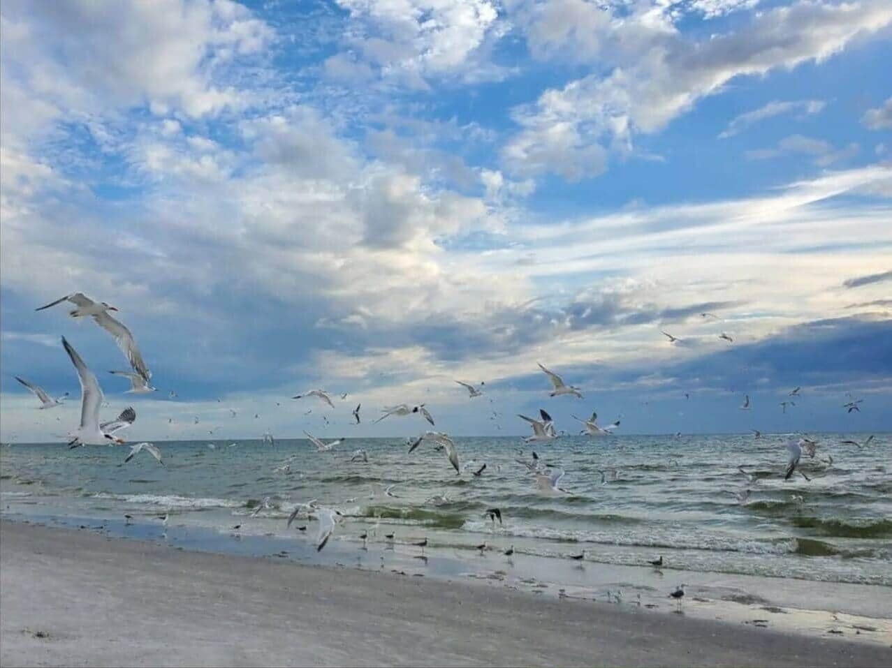 Beach nearby, sun-loungers, beach towels