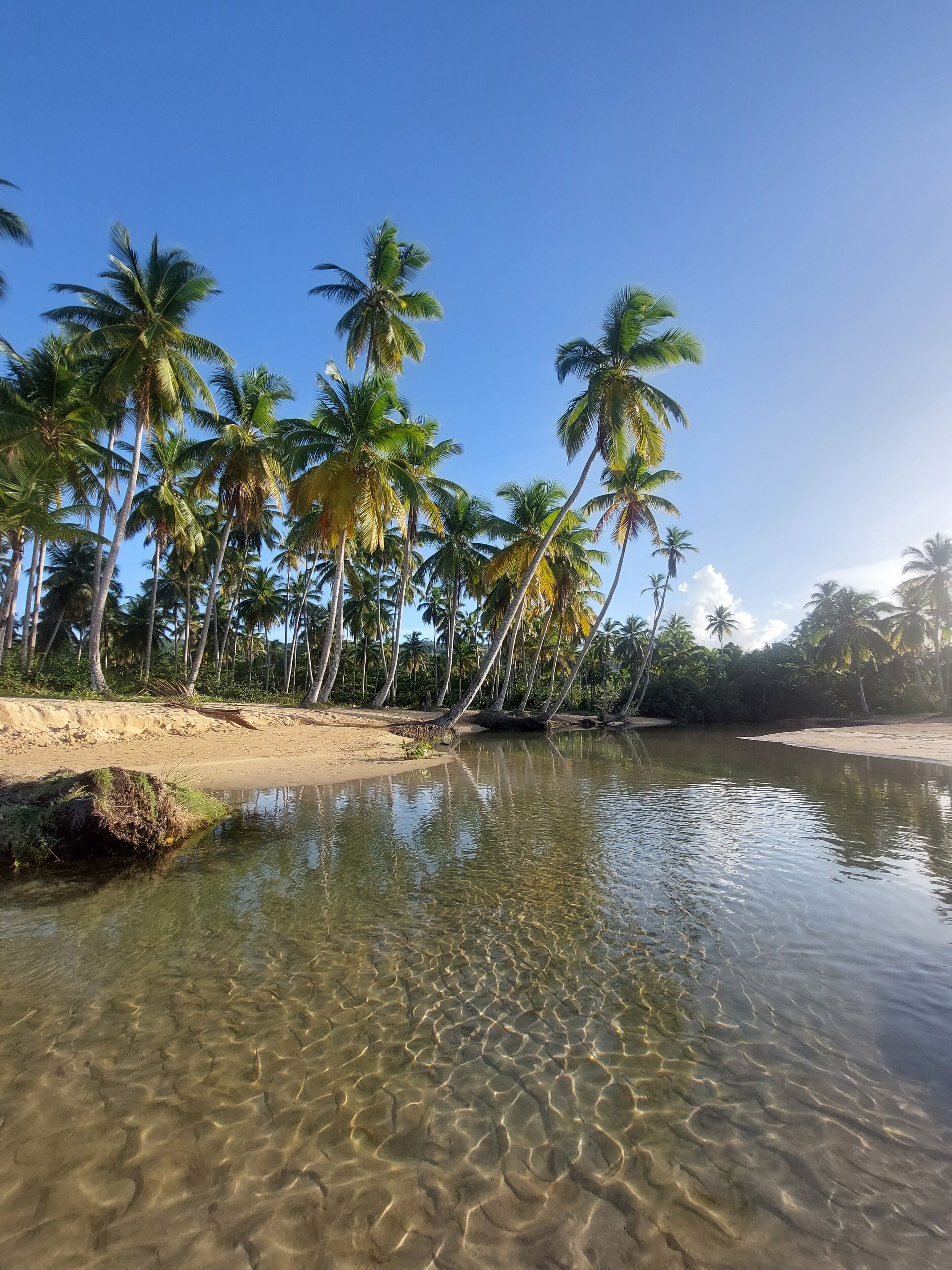 Plage à proximité, chaises longues, serviettes de plage