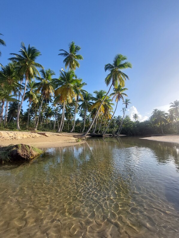 In Strandnähe, Liegestühle, Strandtücher