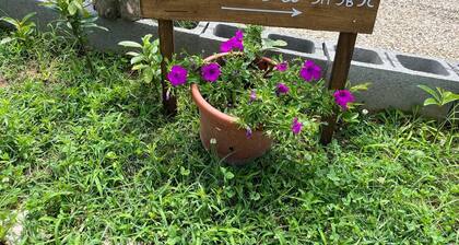 Relax in a typical Piedmontese country house