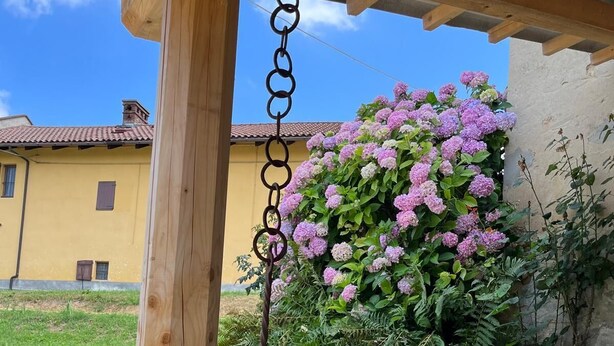 Een houten pergola met een hangende bloempot.
