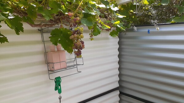 Property grounds - Mountain View Caravan. 1 hour to beaches, 2.5 hours to Snowy Mountains. (BEMBOKA;NSW)