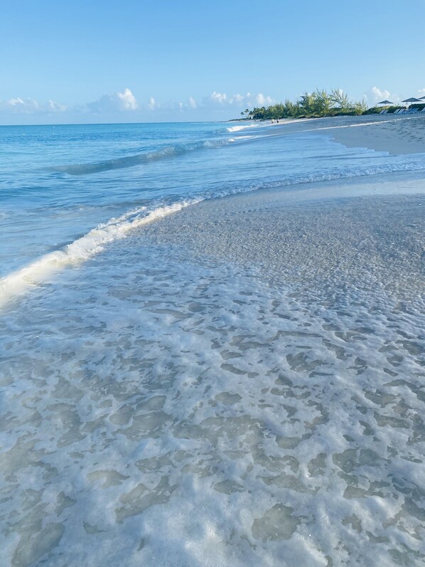 بالقرب من الشاطئ