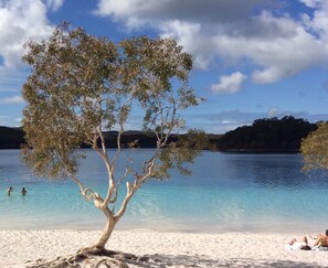 Ein Strand mit klarem türkisblauem Wasser, ein einzelner Baum und Hügel in der Ferne.