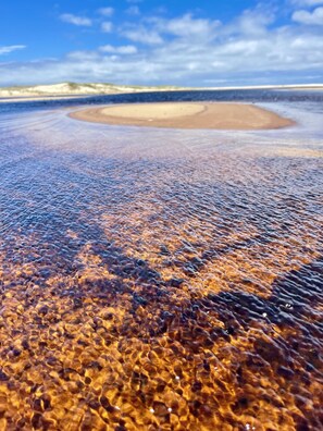Plage à proximité