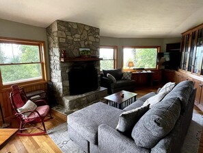 Una Smart TV, una chimenea, libros, una videoteca