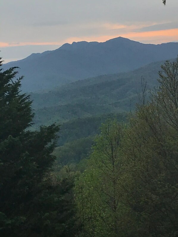 Un paisaje montañoso con bosque denso.