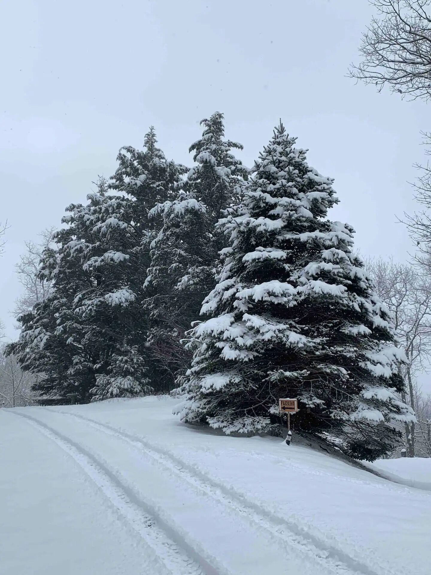 Carretera cubierta de nieve con un cartel que indica un estacionamiento.