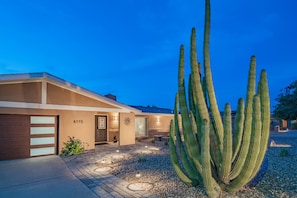 A modern house with a large cactus in the front yard.