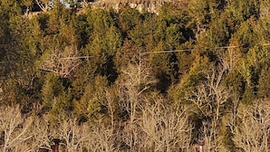 Una casa moderna con un'ampia terrazza, immersa in una fitta foresta.