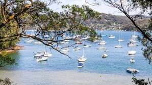 Un puerto deportivo con numerosas embarcaciones amarradas, rodeado de árboles y colinas al fondo.