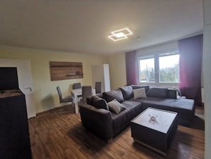 Smart TV, fireplace, DVD player