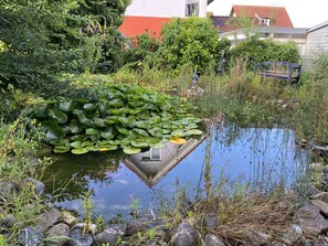 Terrain de l’hébergement 