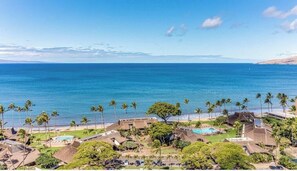 A resort with a pool, palm trees, and a view of the ocean.