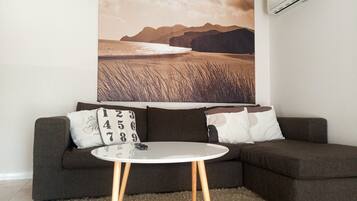 Smart TV, books, video library