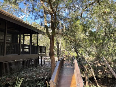 Poppy's Place is your unique Steinhatchee destination with river/gulf access
