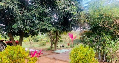 Beautiful rustic farmhouse 45 mins away from bangalore