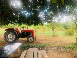 Property grounds - Beautiful rustic farmhouse 45 mins away from bangalore (Solur)