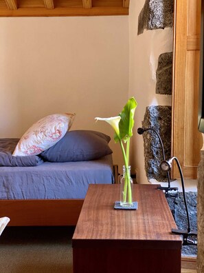 1 chambre, fer et planche à repasser, accès au Wi-Fi (inclus)
