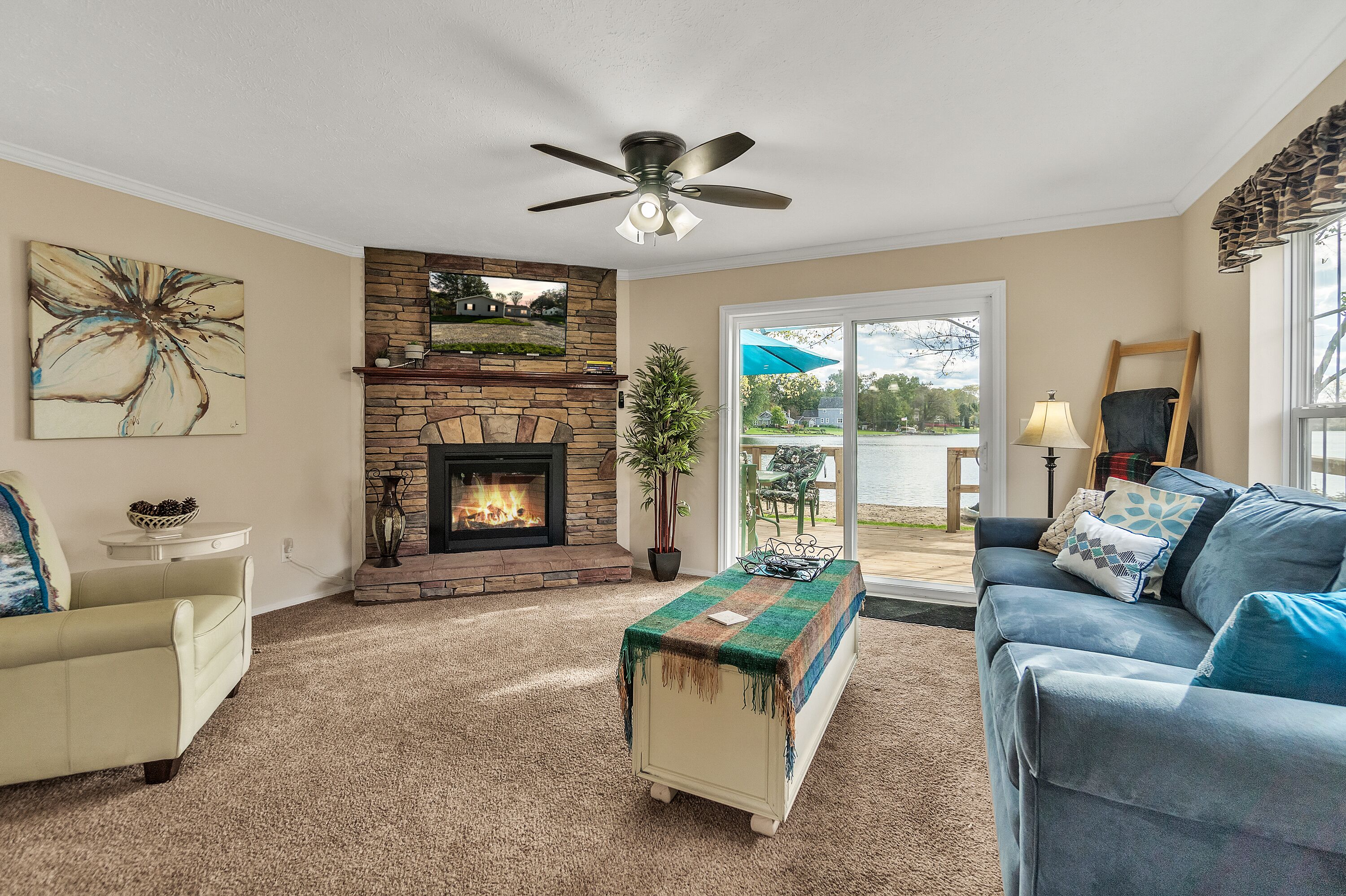 Smart TV, fireplace, books