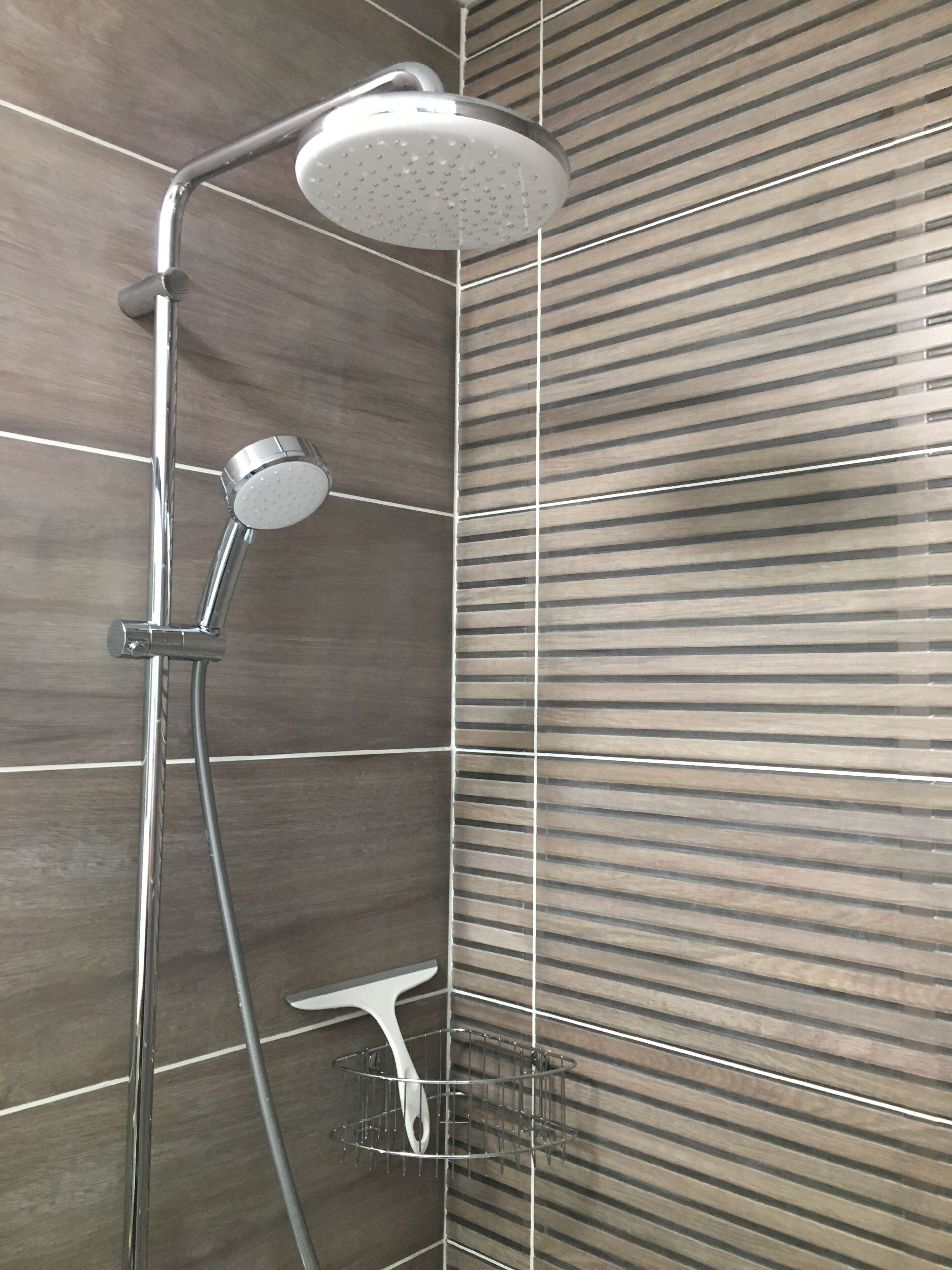 Shower, hair dryer