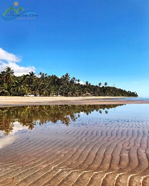 Ubicación a pie de playa, tumbonas y toallas de playa