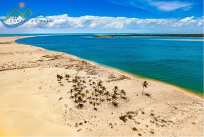 Ubicación a pie de playa, tumbonas y toallas de playa