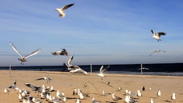 In Strandnähe