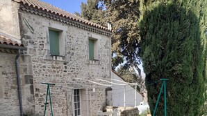 A stone house with a tiled roof, a small garden with a plant, and a tree.