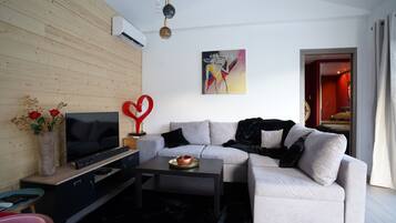 Smart TV, fireplace, books