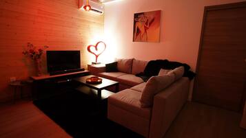 Smart TV, fireplace, books