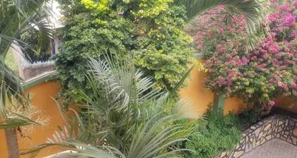 Lush&Space