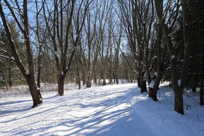 Snow and ski sports - Secluded dog-friendly cabin on 10 acres - hot tub & game room! (Fennville)