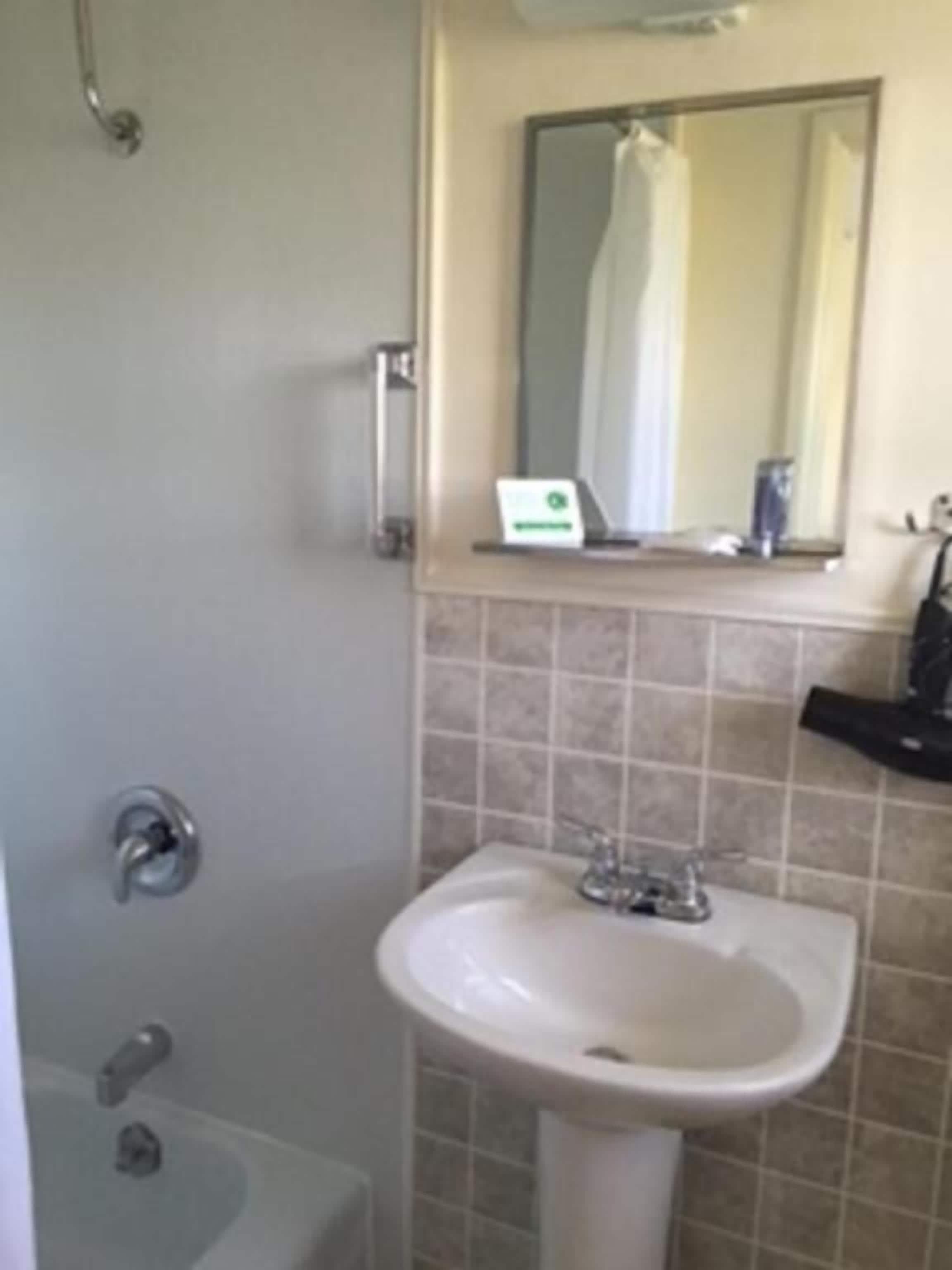 A bathroom with a sink, mirror, and shower curtain.