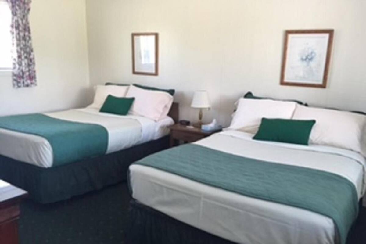 Una habitación de hotel con dos camas individuales, cada una con una colcha verde y blanca, una mesita de noche con lámpara y un cuadro en la pared.