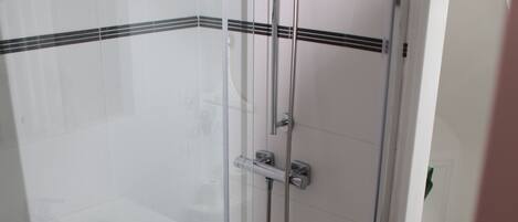 A glass-enclosed shower with a handheld showerhead and a handheld scrubber.