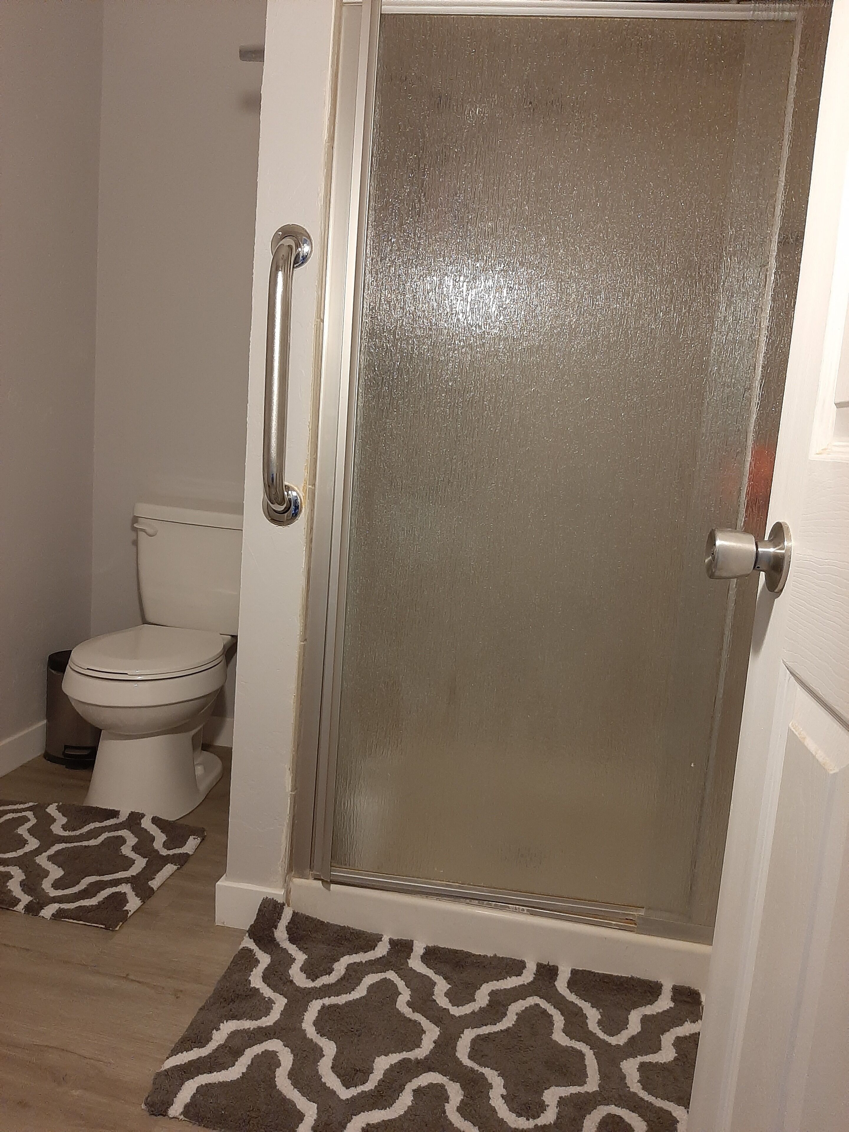 A bathroom with a toilet, a shower door, and a patterned rug.