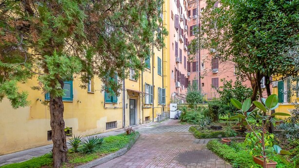 A narrow, paved pathway flanked by yellow buildings with green shutters, leading to a door.