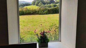 Una ventana con vista a un campo verde y árboles.