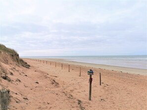 Beach - House in the Pine forest 2,5 km from the beach (Notre-Dame-de-Monts)
