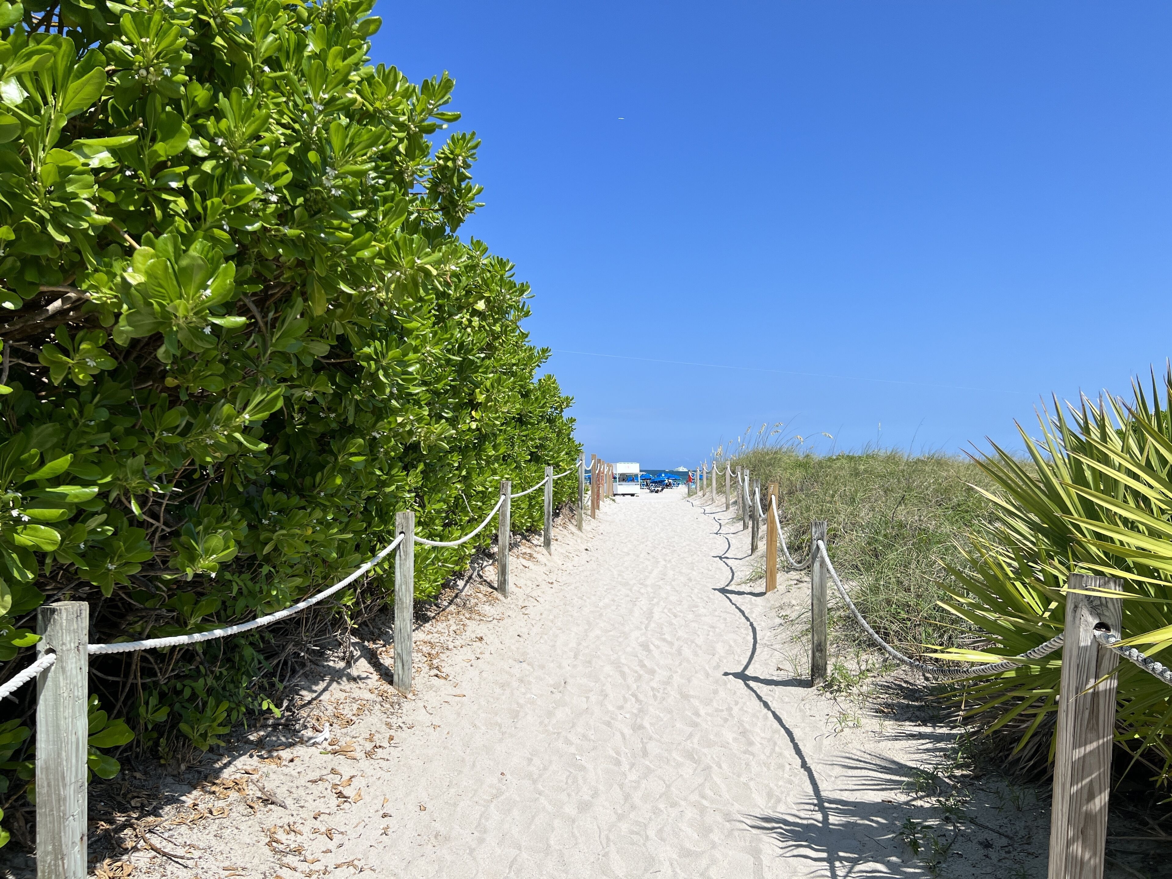 Plage à proximité, chaises longues, serviettes de plage