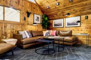 Smart TV, fireplace, video games, DVD player
