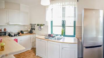 Frigorífico, placa de cocina, lavavajillas y cafetera o tetera