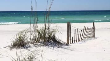 Plage, chaises longues
