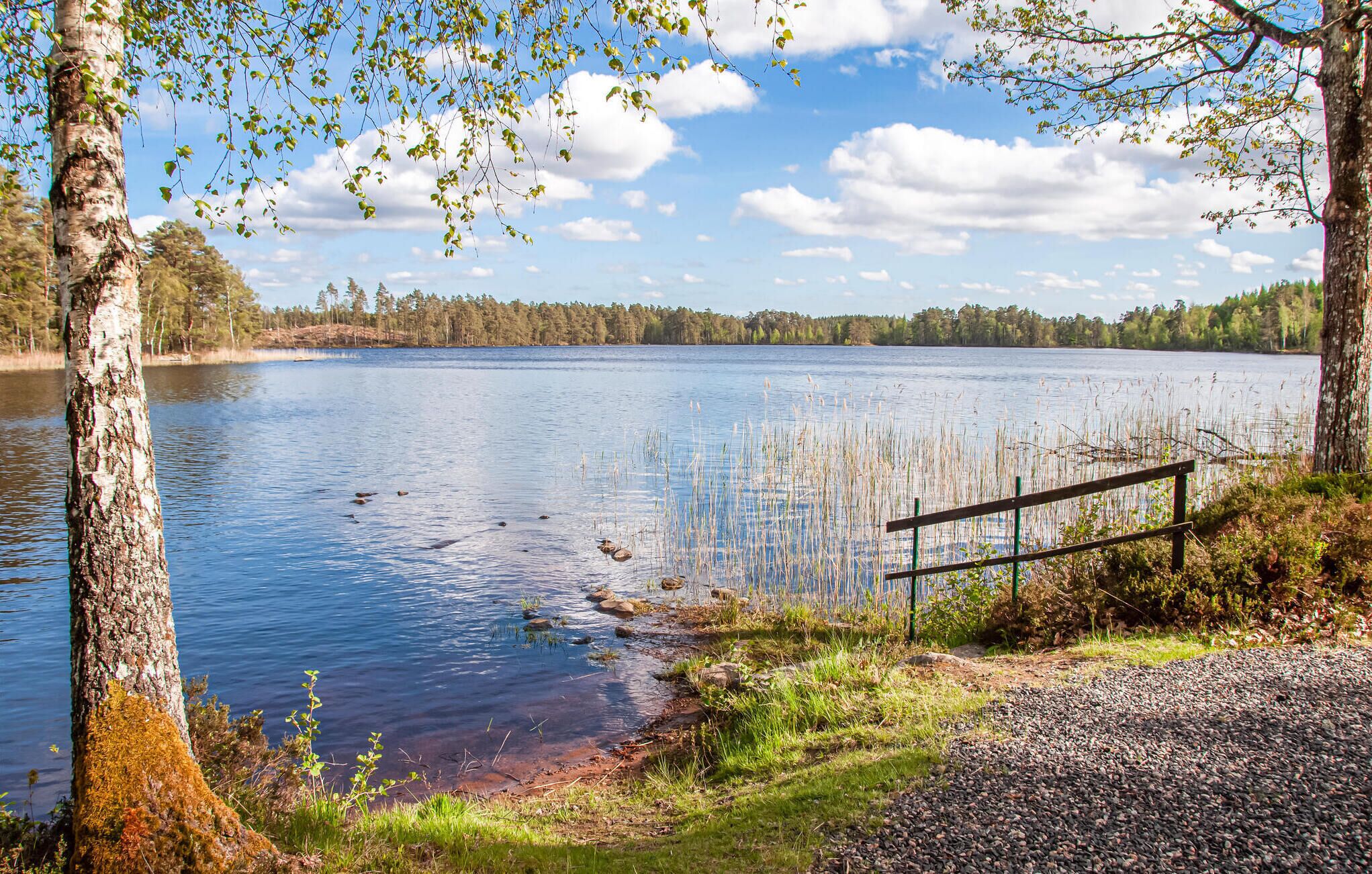 A tranquil lakeside scene with a gravel path leading to a wooden bench overlooking the water.